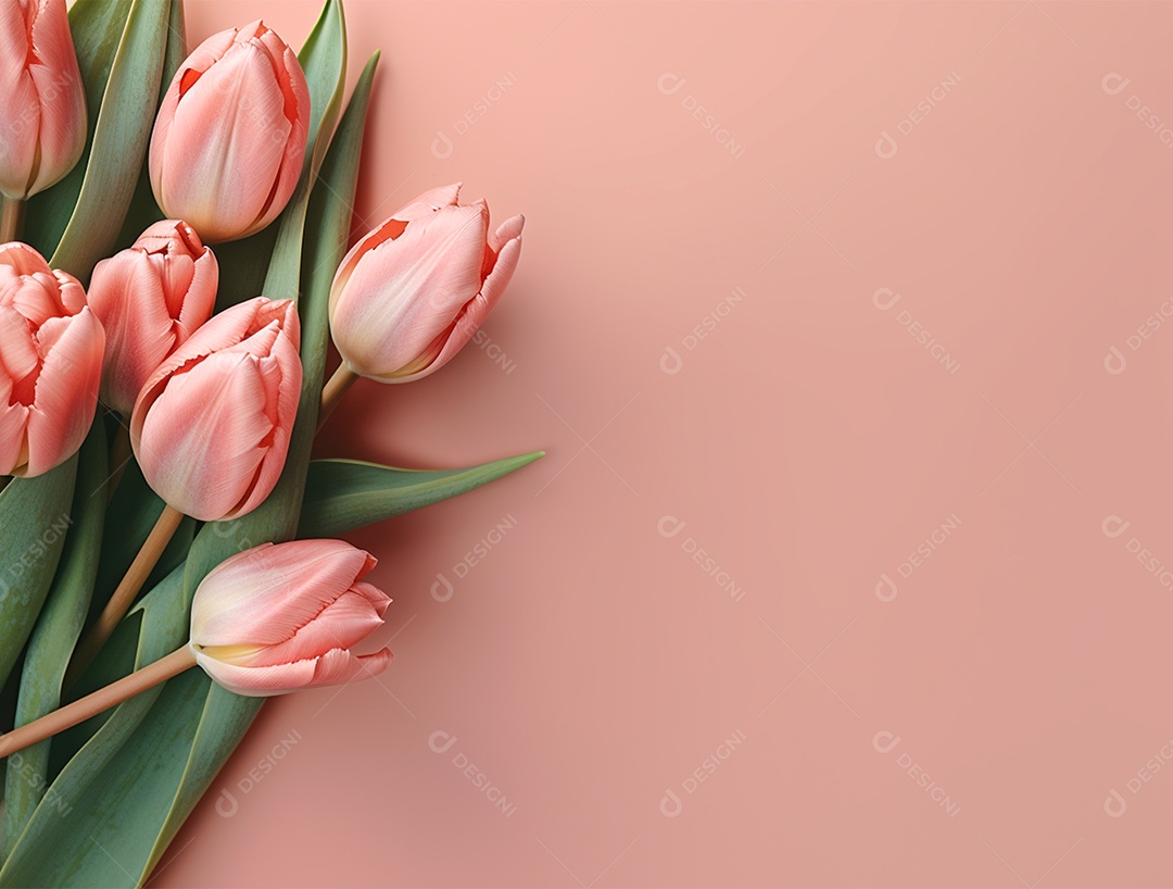 Flores tulipas sobre fundo isolado rosa.