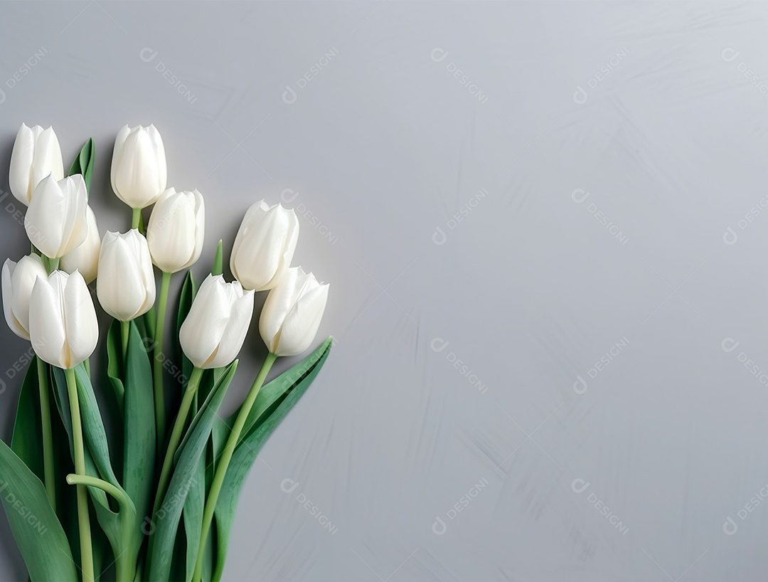 Flores tulipas sobre fundo isolado branco.