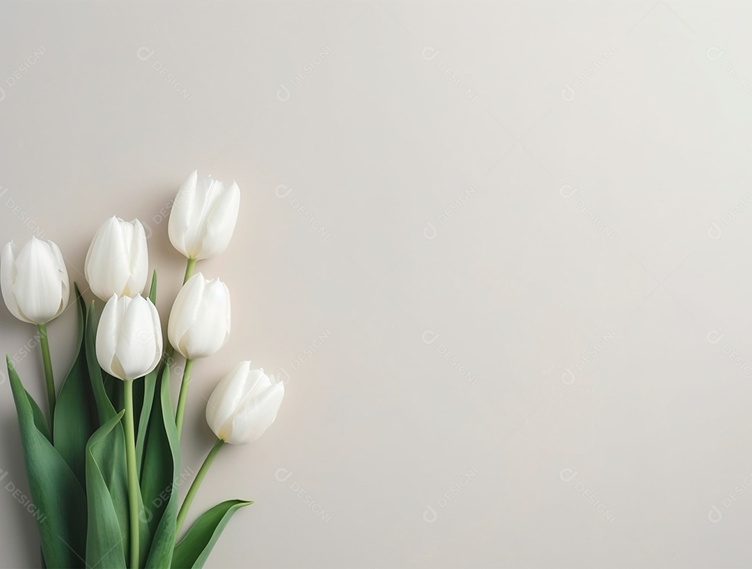 Flores de tulipas sobre fundo branco.