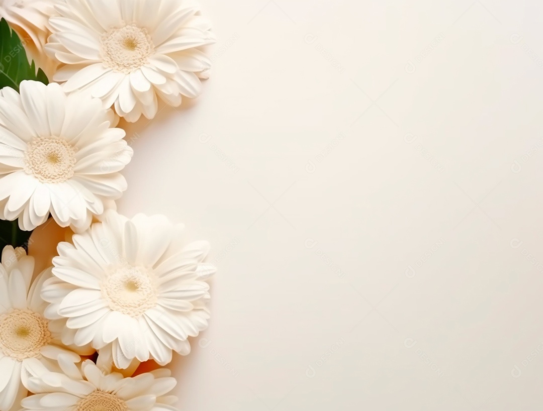 Flores sobre fundo isolado branco.