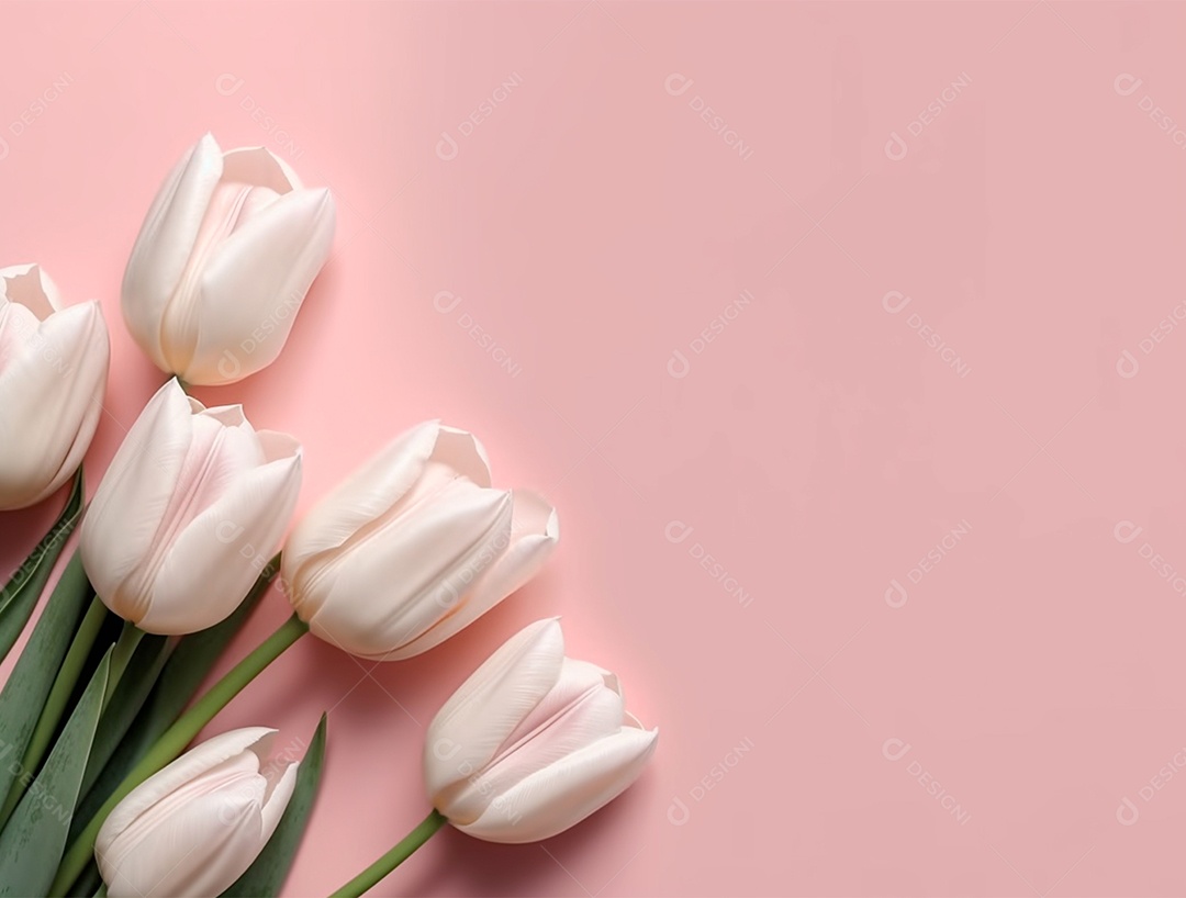 Buquê de fores de tulipas sobre um fundo rosa.