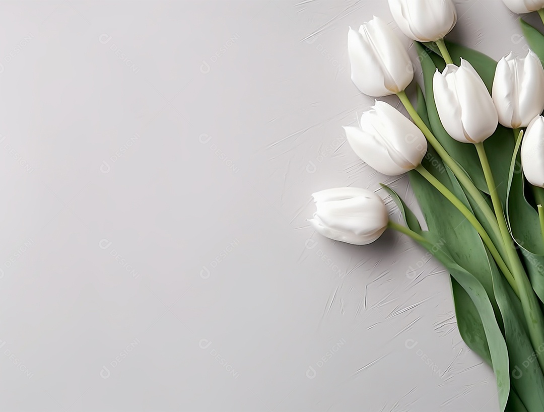 Flores brancas de tulipas sobre fundo isolado.