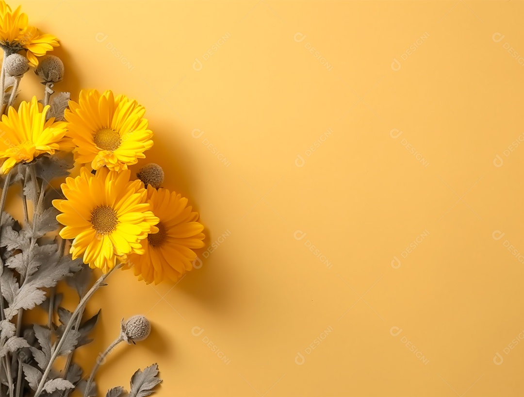 Flores amarelas sobre fundo isolado.