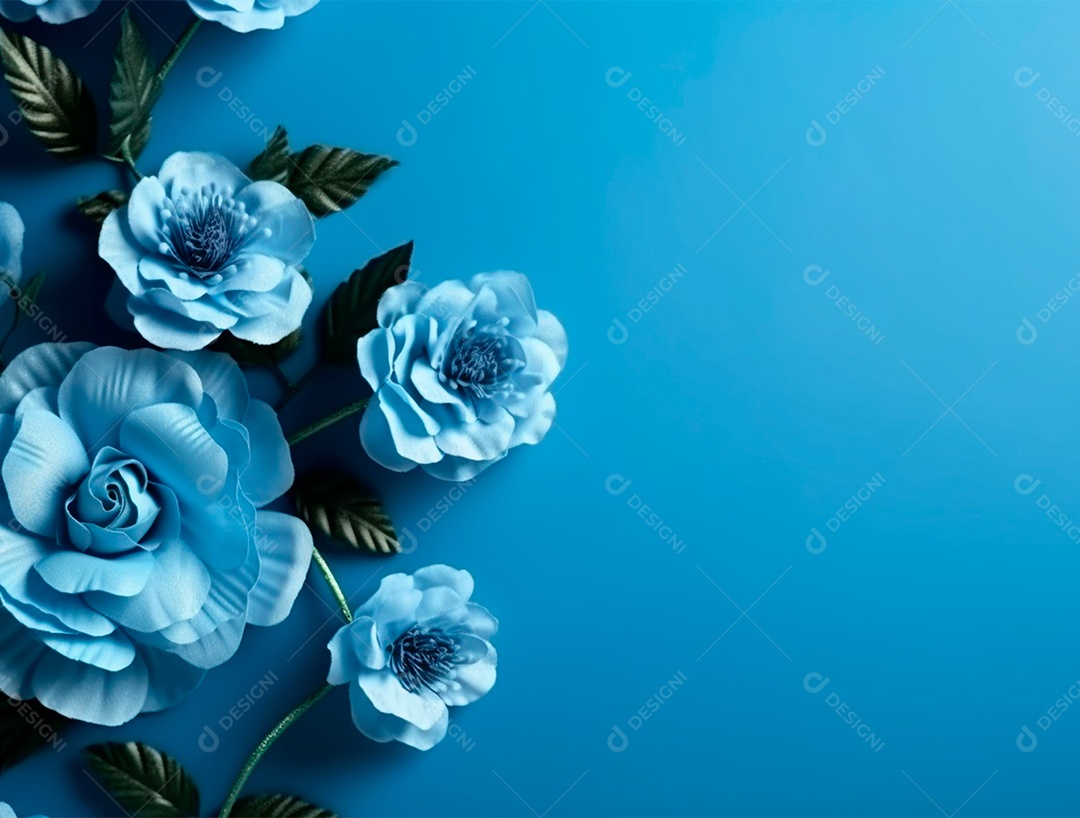 Linda rosas sobre fundo isolado azul.