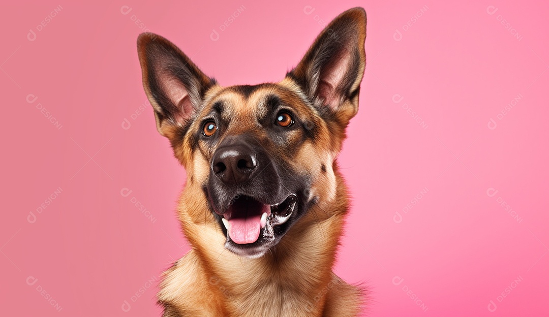 Cachorro sobre fundo isolado rosa.