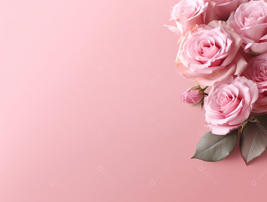 Rosas e folhas sobre fundo isolado rosa.