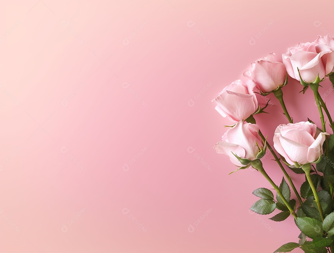 Rosas e folhas sobre fundo isolado rosa.