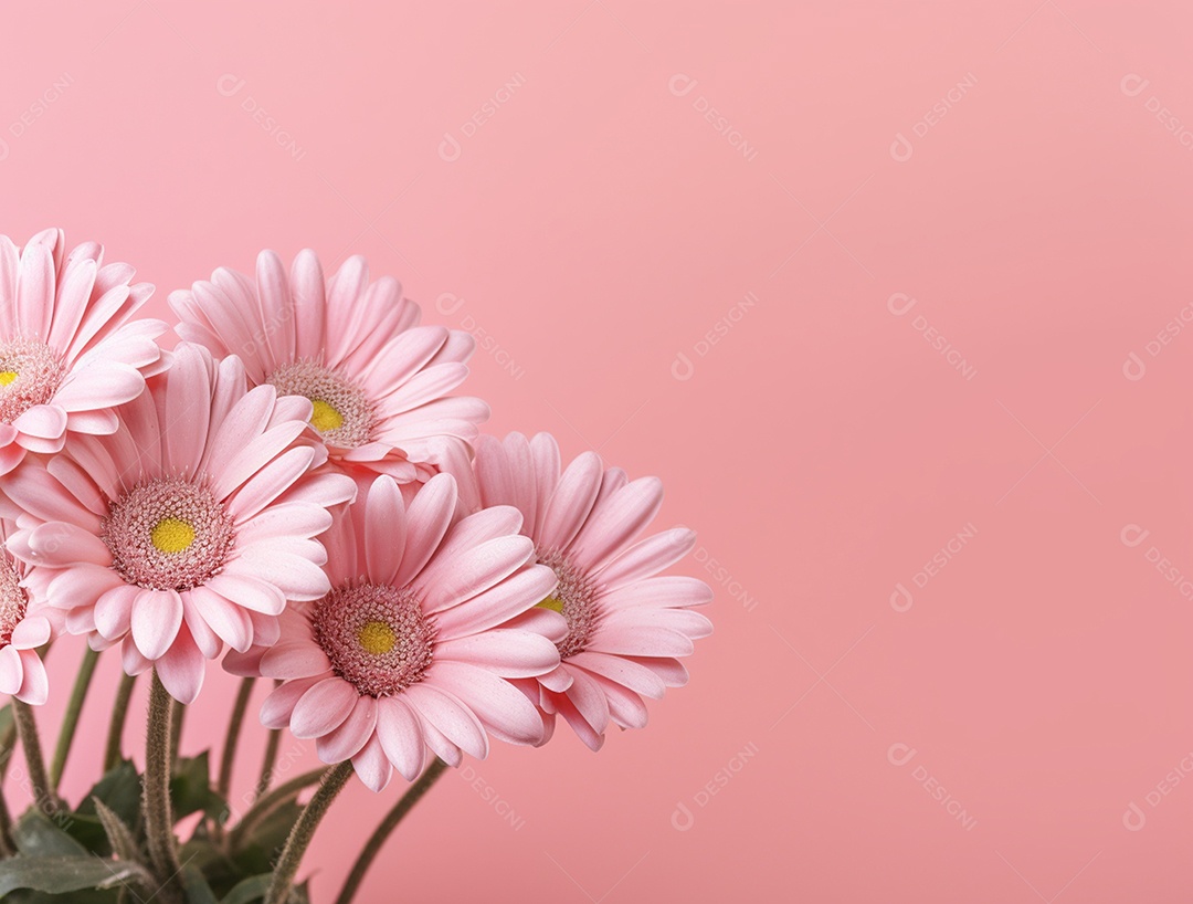 Flores sobre fundo isolado rosa.