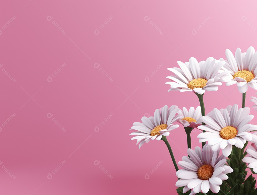 Flores brancas sobre fundo isolado rosa.