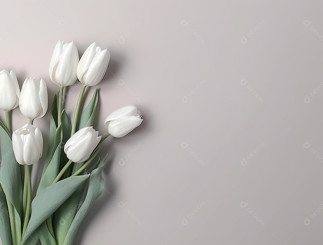 Flores de tulipas sobre fundo branco.