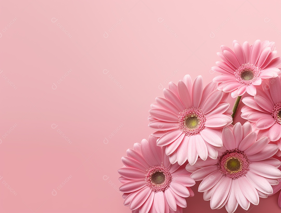 Flores sobre fundo isolado rosa.