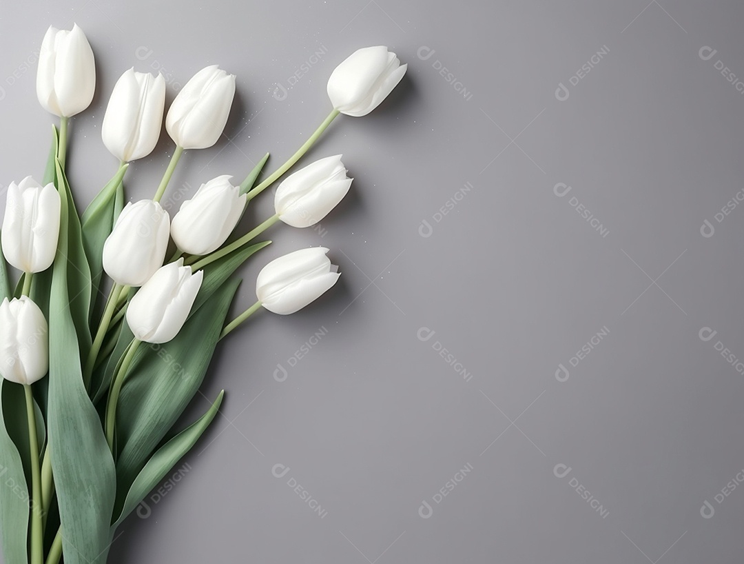 Flores de tulipas brancas sobre fundo cinza.