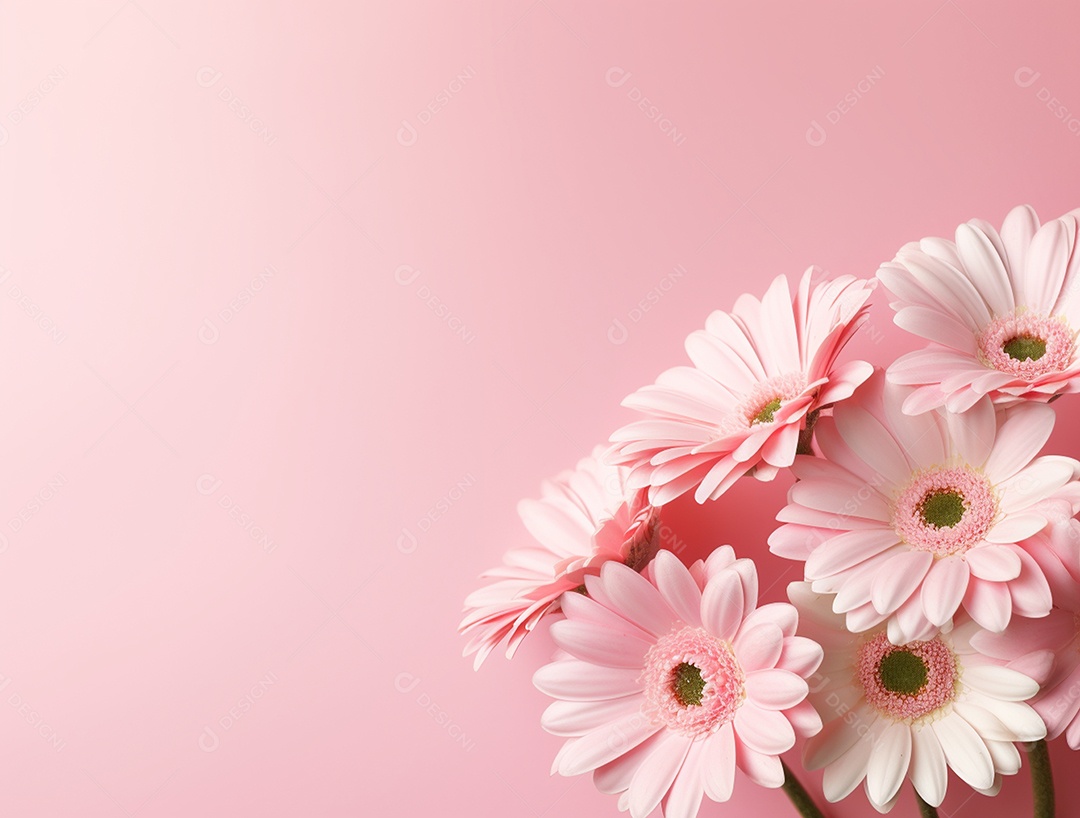 Buquê de lindas flores sobre fundo isolado rosa.