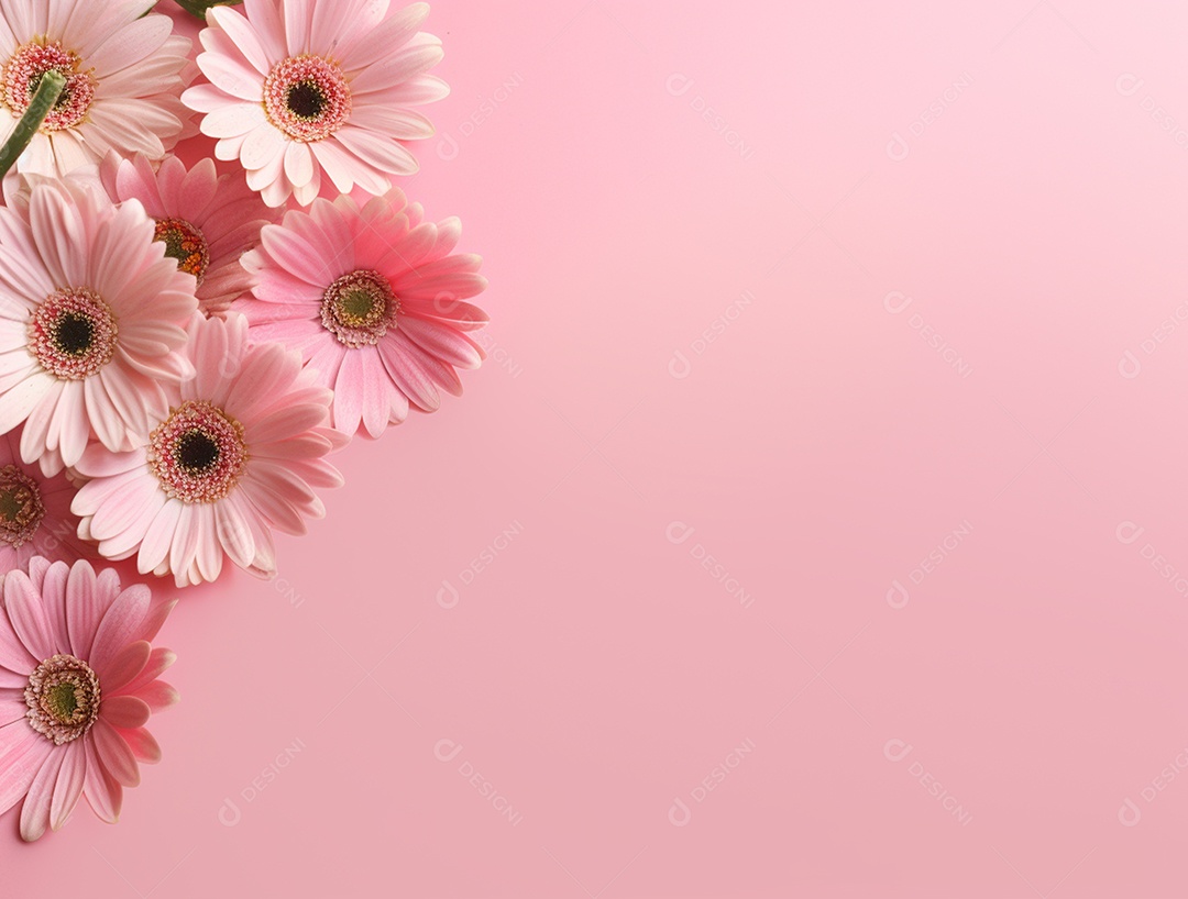 Flores rosas sobre fundo isolado.