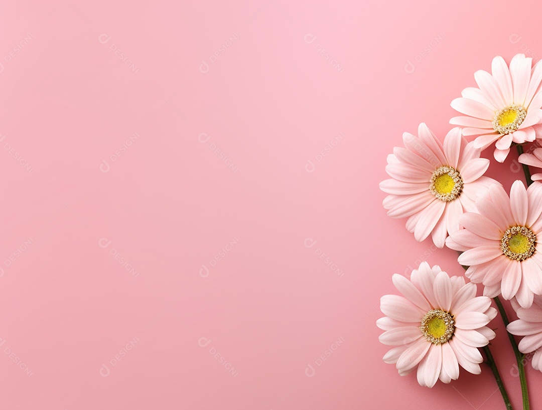 Flores sobre fundo isolado rosa.