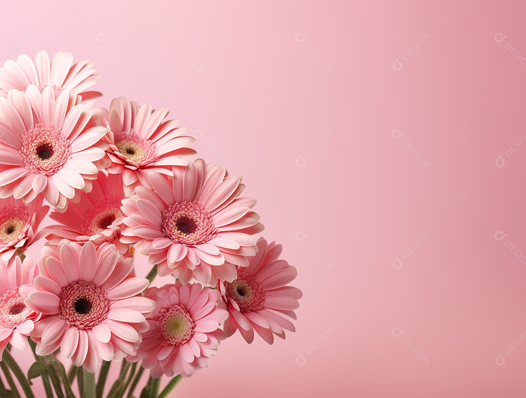 Buquê de flores sobre fundo isolado rosa.