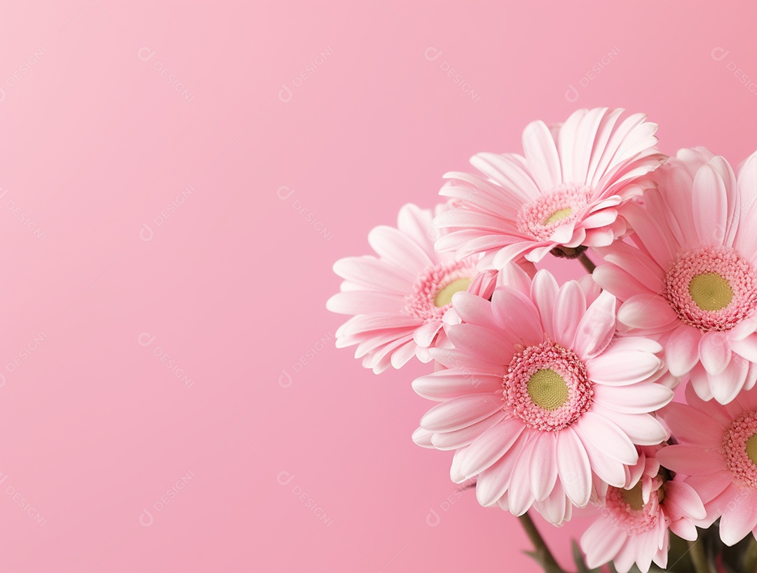 Flores sobre fundo isolado rosa.