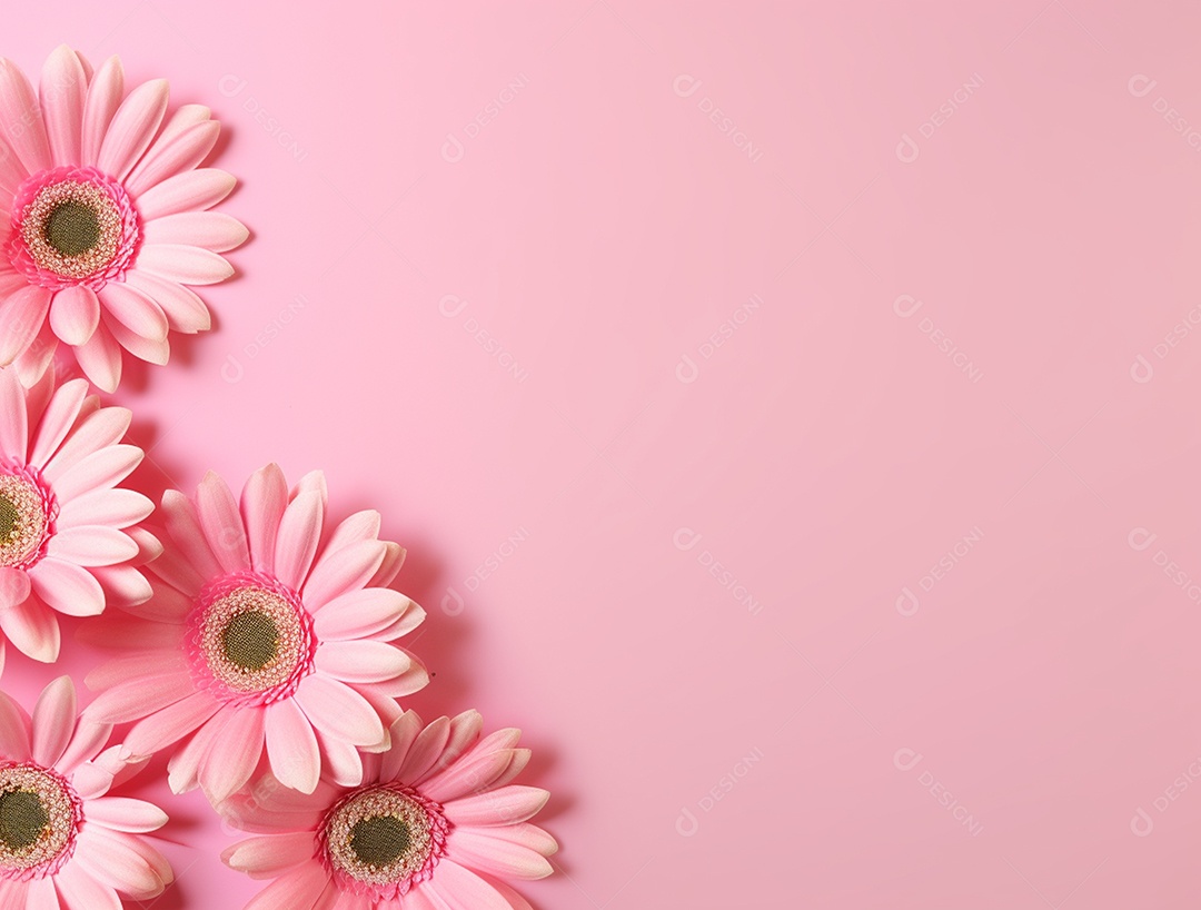 Flores sobre fundo isolado rosa.