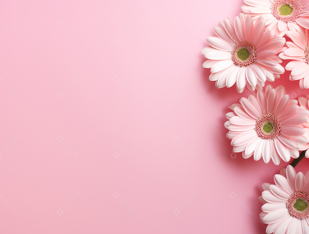 Flores sobre fundo isolado rosa.