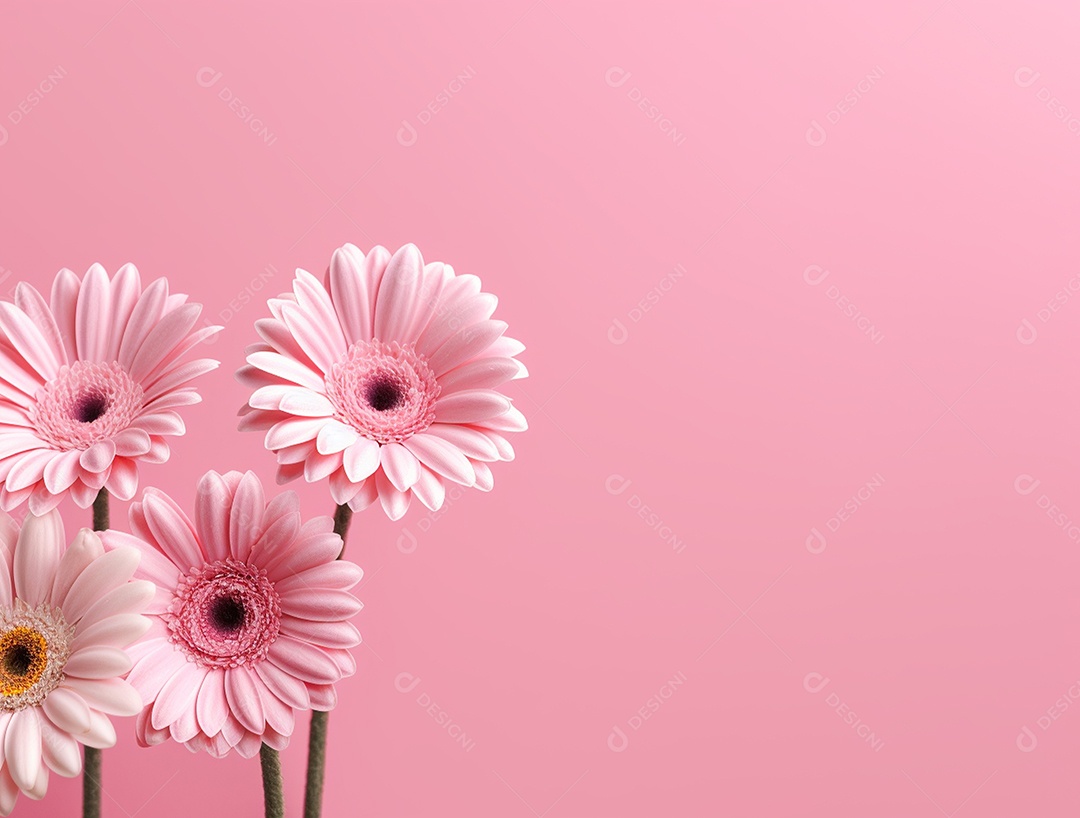 Flores sobre fundo isolado rosa.