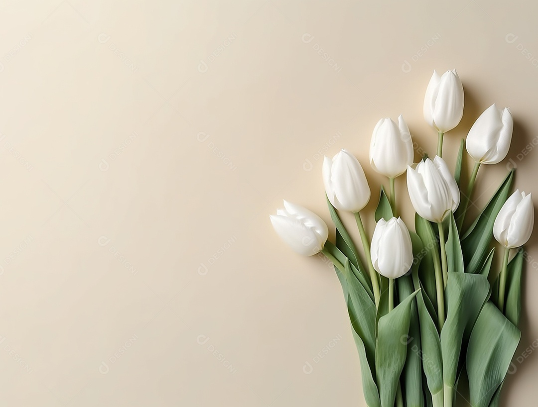 Flores de tulipas sobre fundo bege.