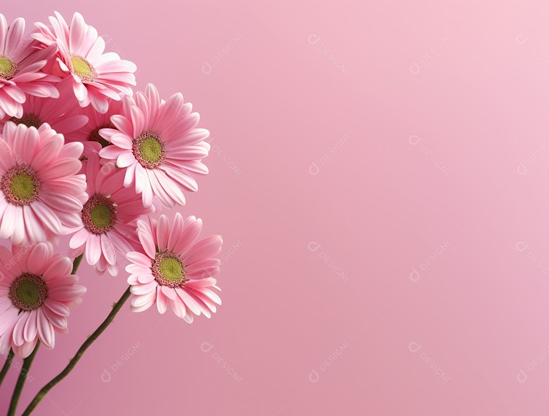 Flores sobre fundo isolado rosa.