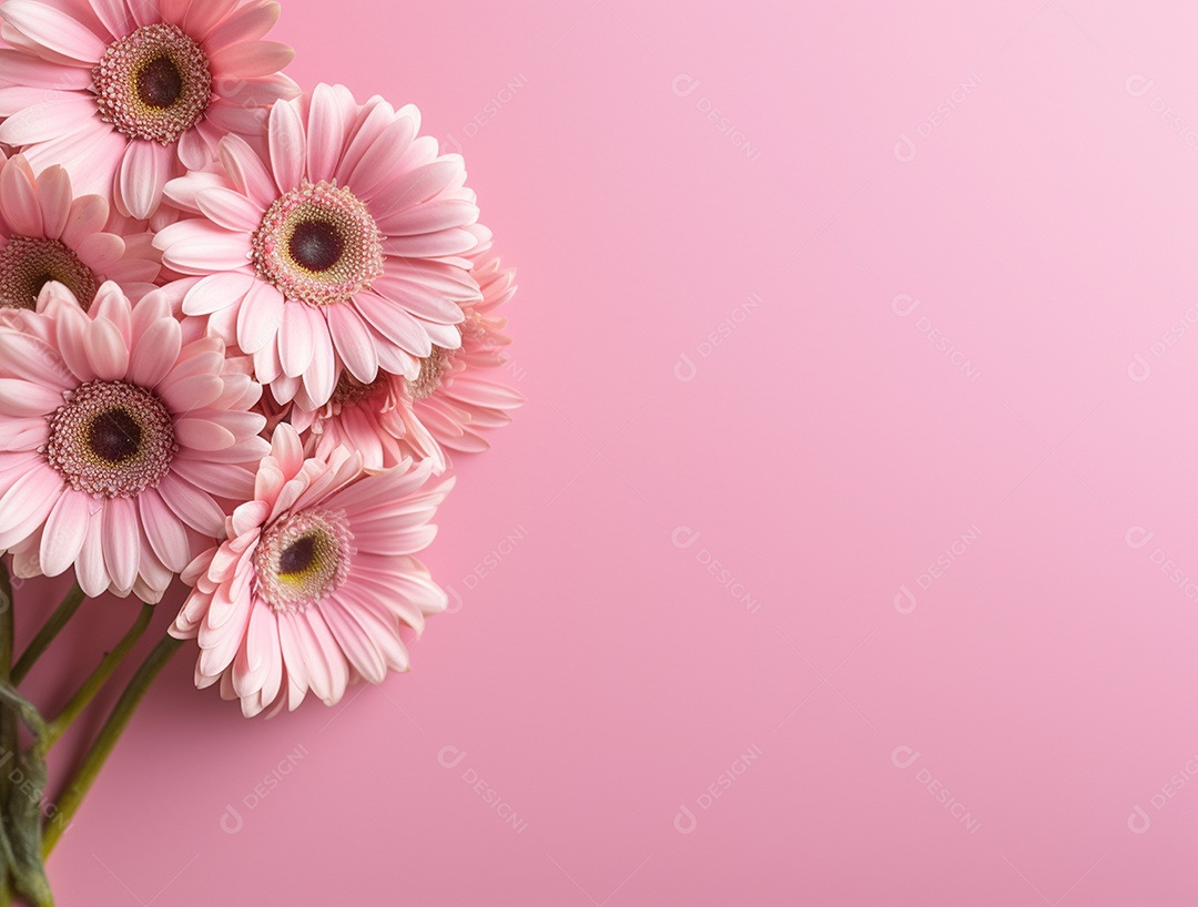 Flores sobre fundo isolado rosa.