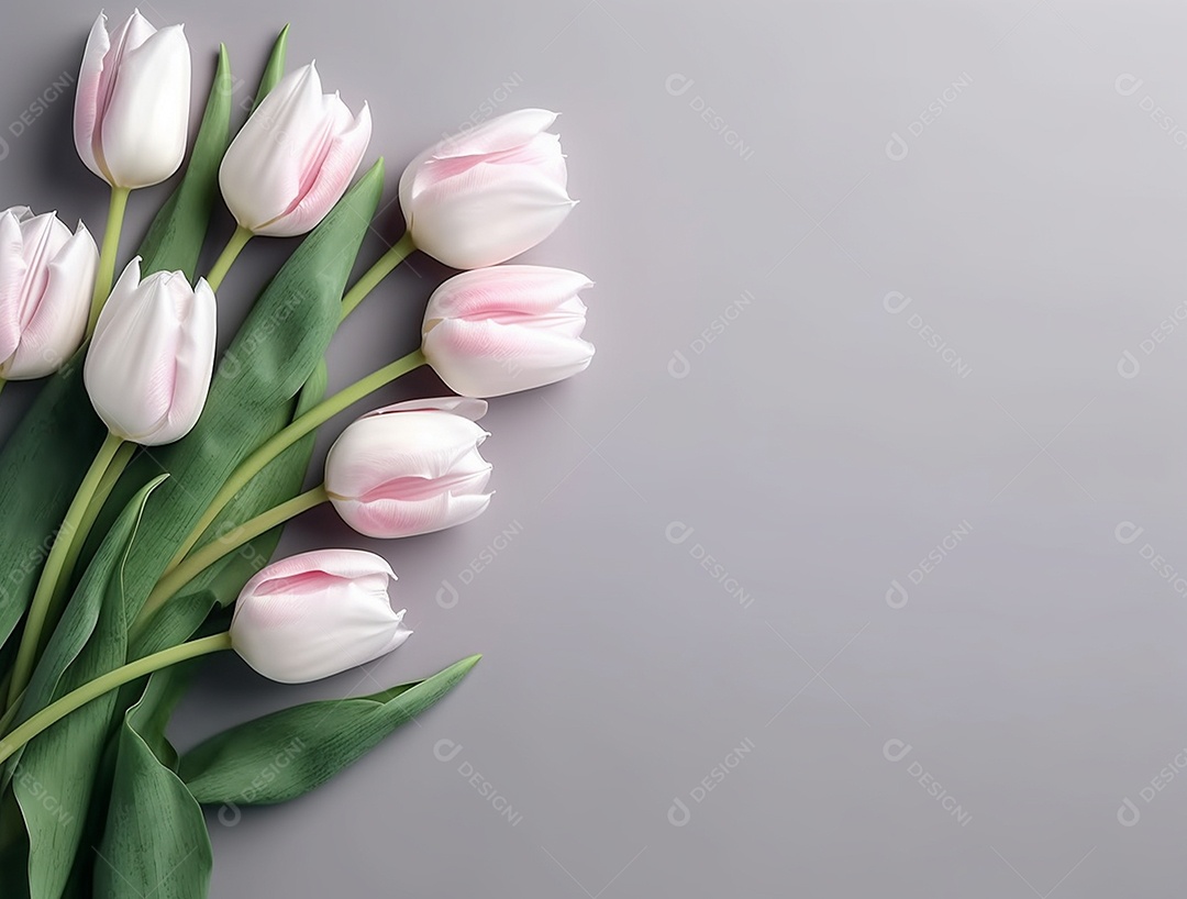 Flores de tulipas sobre fundo cinza.