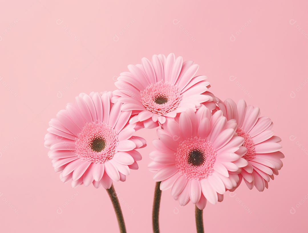 Flores sobre fundo isolado rosa.