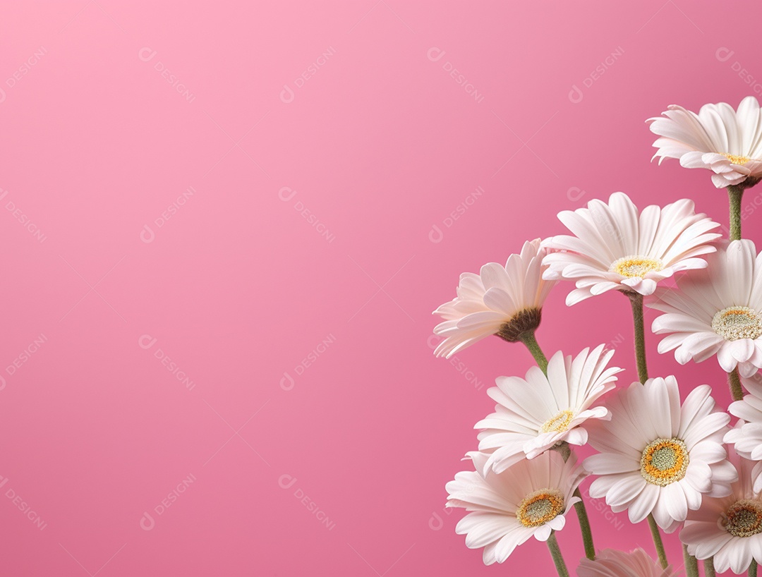 Flores brancas sobre fundo isolado rosa.