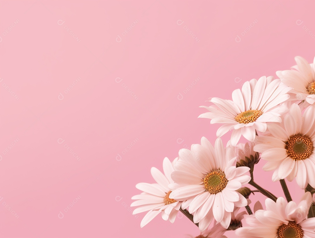 Flores brancas sobre fundo isolado rosa.