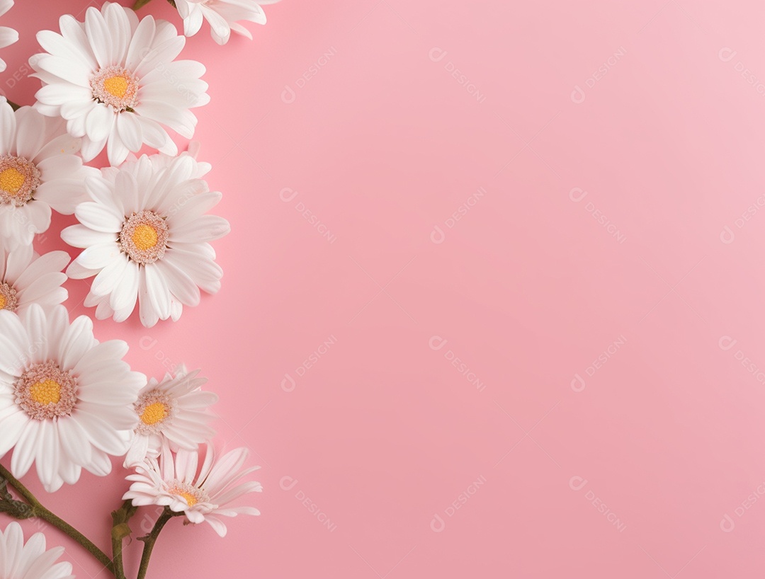 Flores brancas sobre fundo isolado rosa.