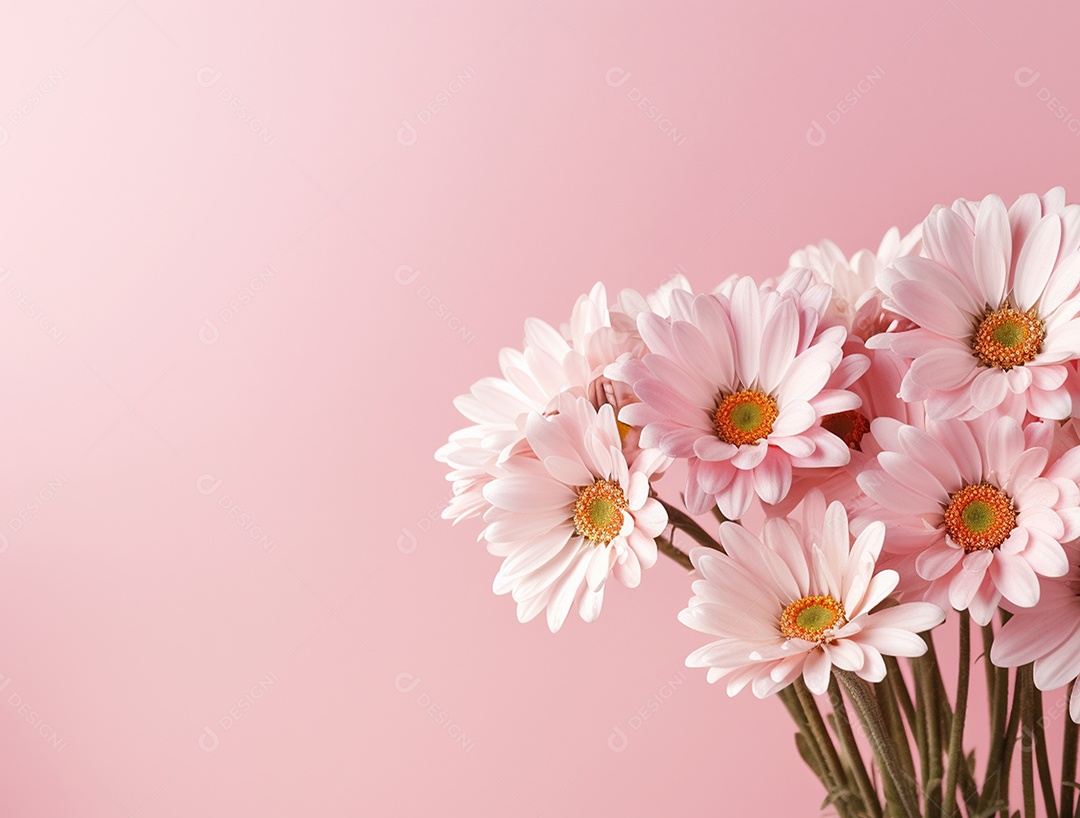 Flores sobre fundo isolado rosa.