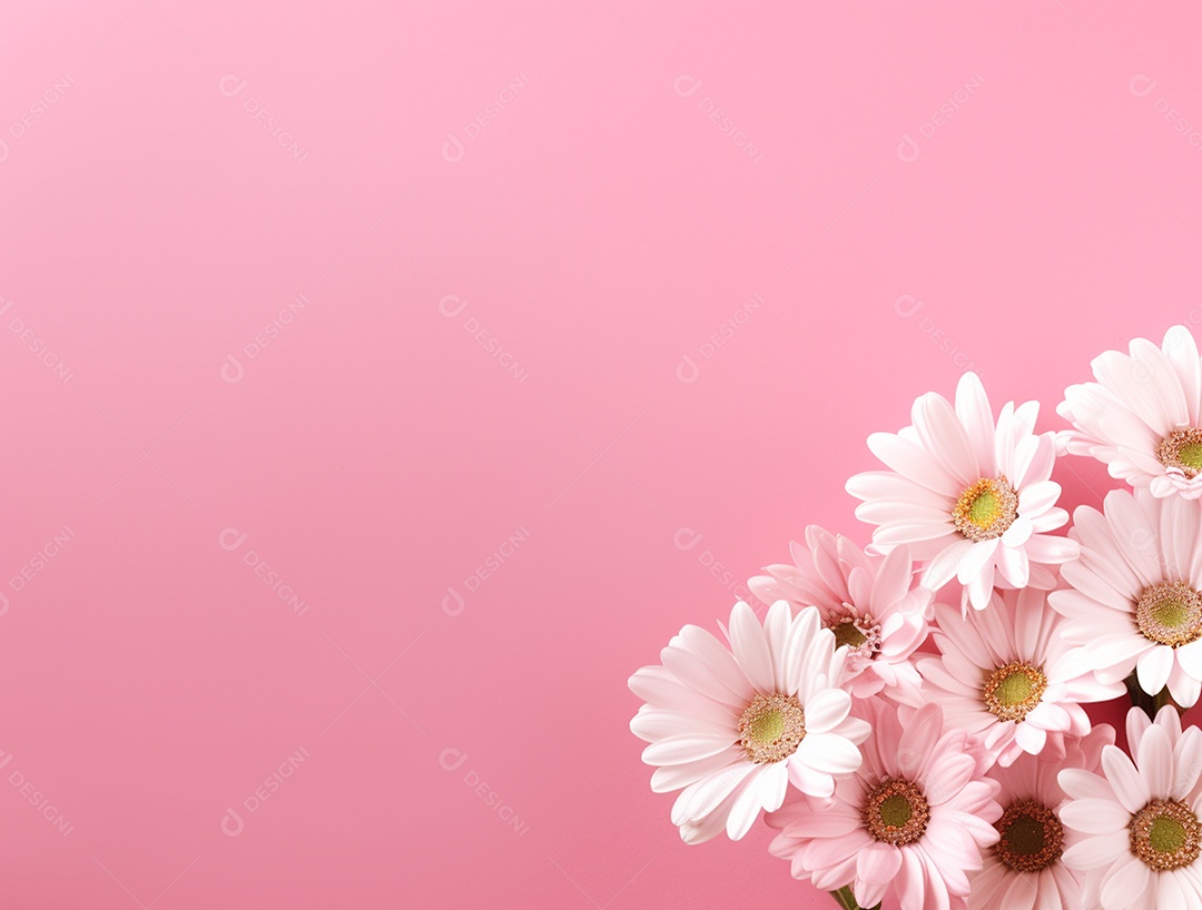 Flores brancas sobre fundo isolado rosa.