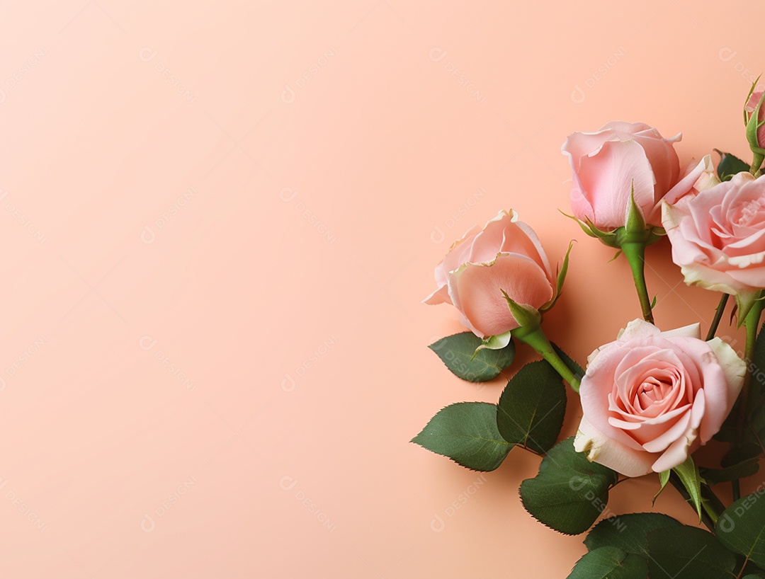 Lindas rosas sobre fundo isolado.