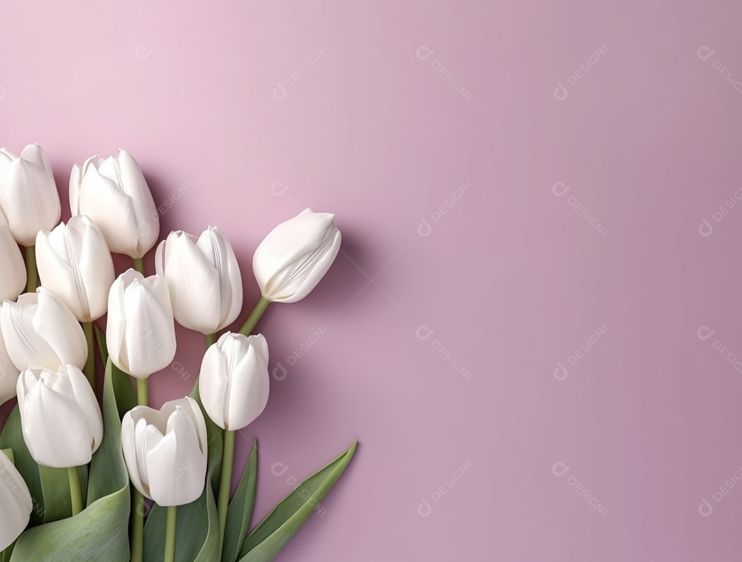 Flores de tulipas brancas sobre fundo rosa.