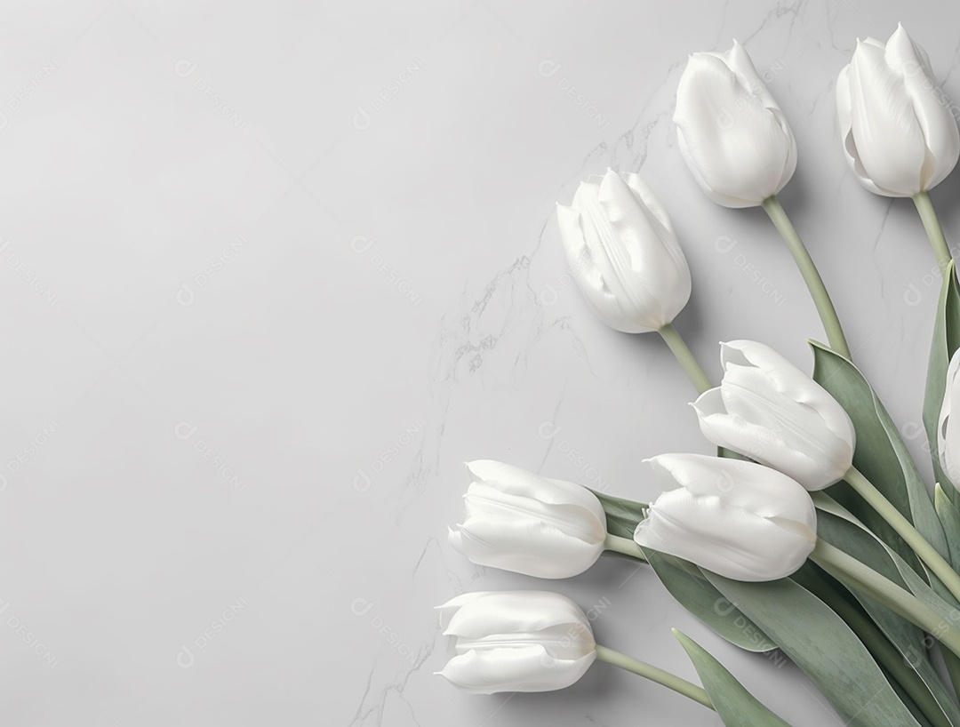 Flores de tulipas sobre fundo branco.