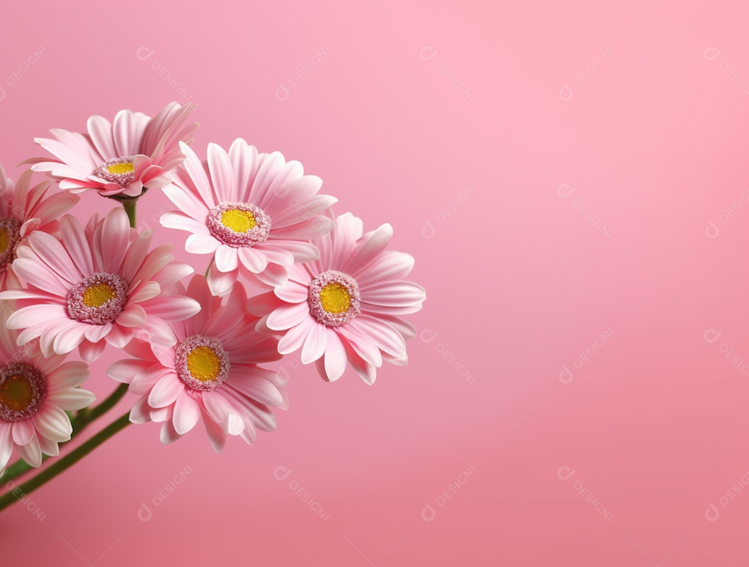 Flores sobre fundo isolado rosa.