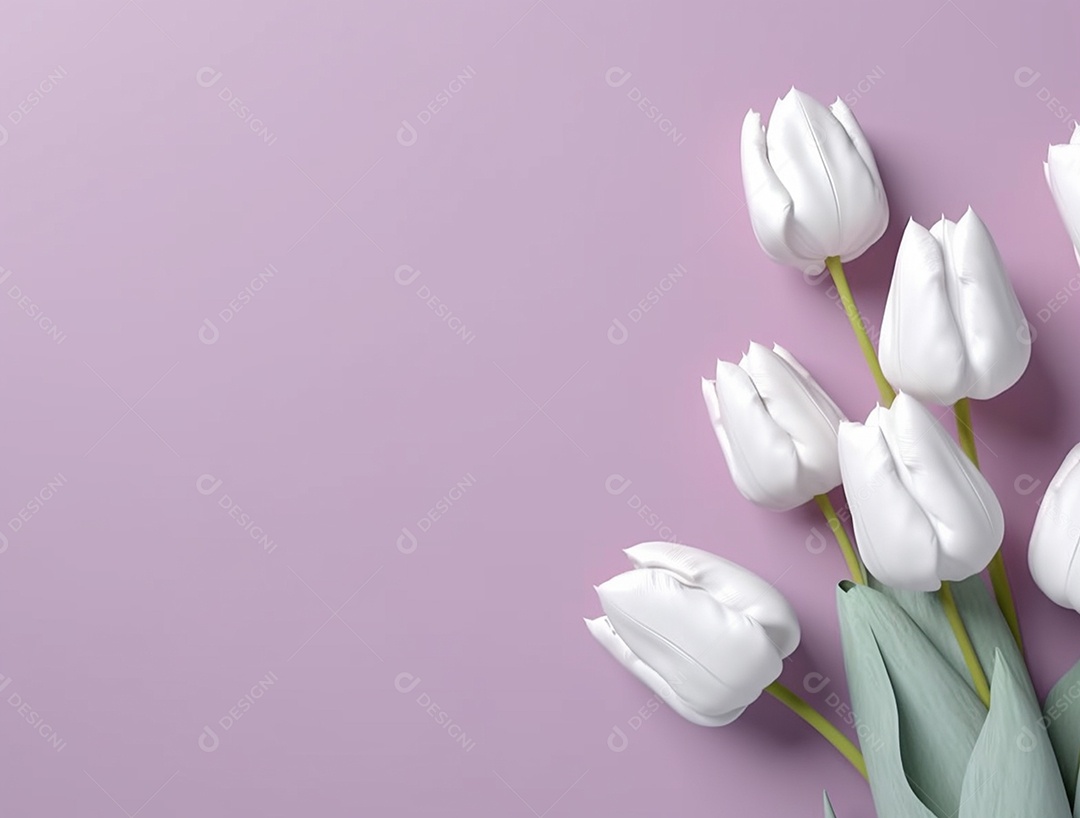 Flores de tulipas brancas sobre fundo lilás.
