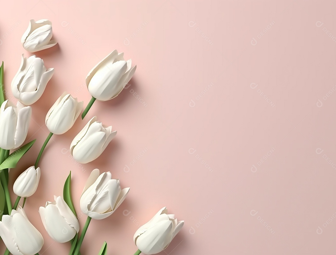 Flores brancas sobre fundo isolado rosa.