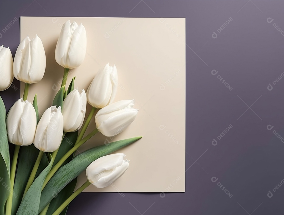 Flores de tulipas sobre fundo isolado cinza.