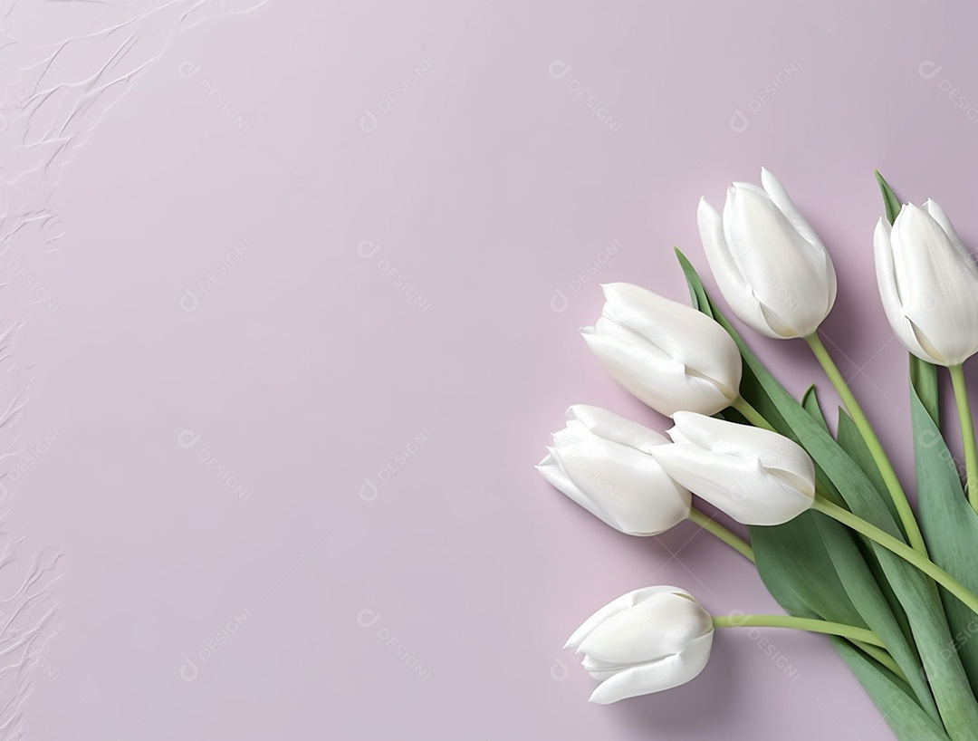 Flores de tulipas sobre fundo isolado cinza .