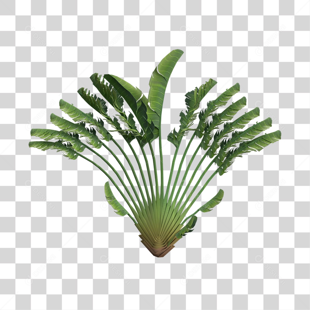 Folhas Verdes  PNG Transparente