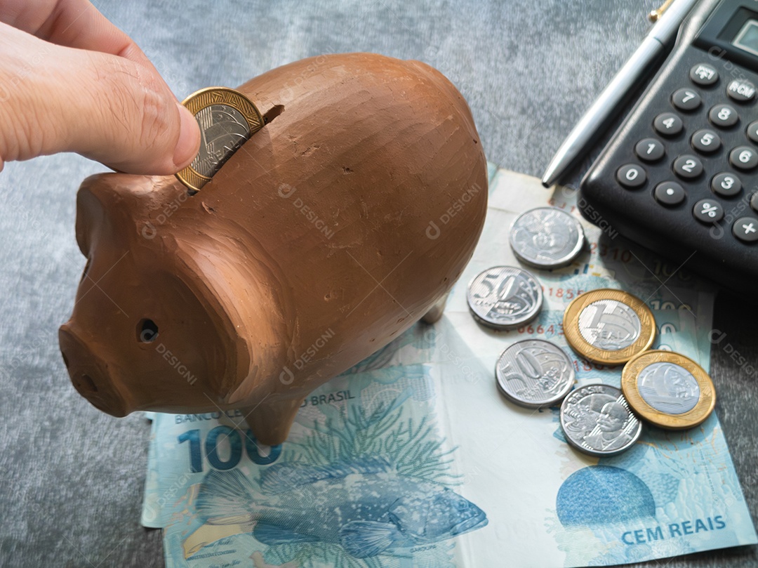 Notas e moedas de dinheiro brasileiro. Conceito de finanças.