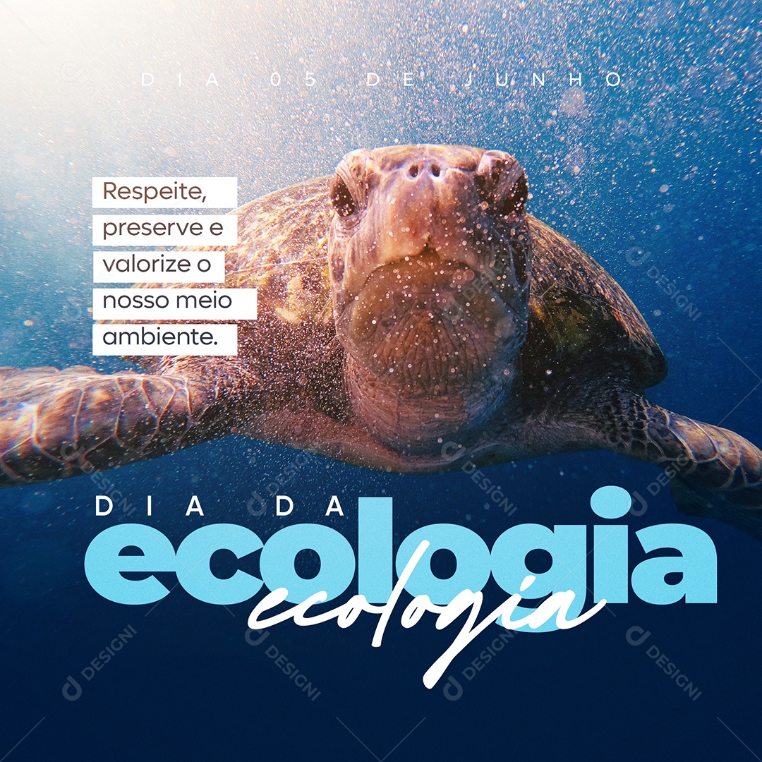 Social Media Dia Da Ecologia Preserve E Valorize PSD Editável