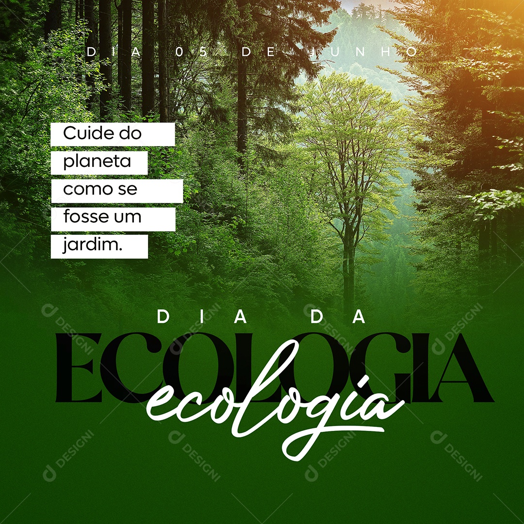 Social Media Dia Da Ecologia Cuide Do Planeta PSD Editável