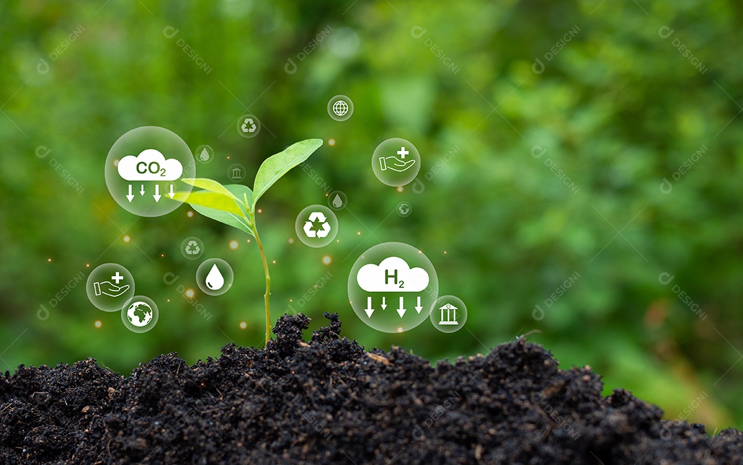 Conceito de redução de emissão de CO2, ambiente limpo e amigável sem emissões de dióxido de carbono.