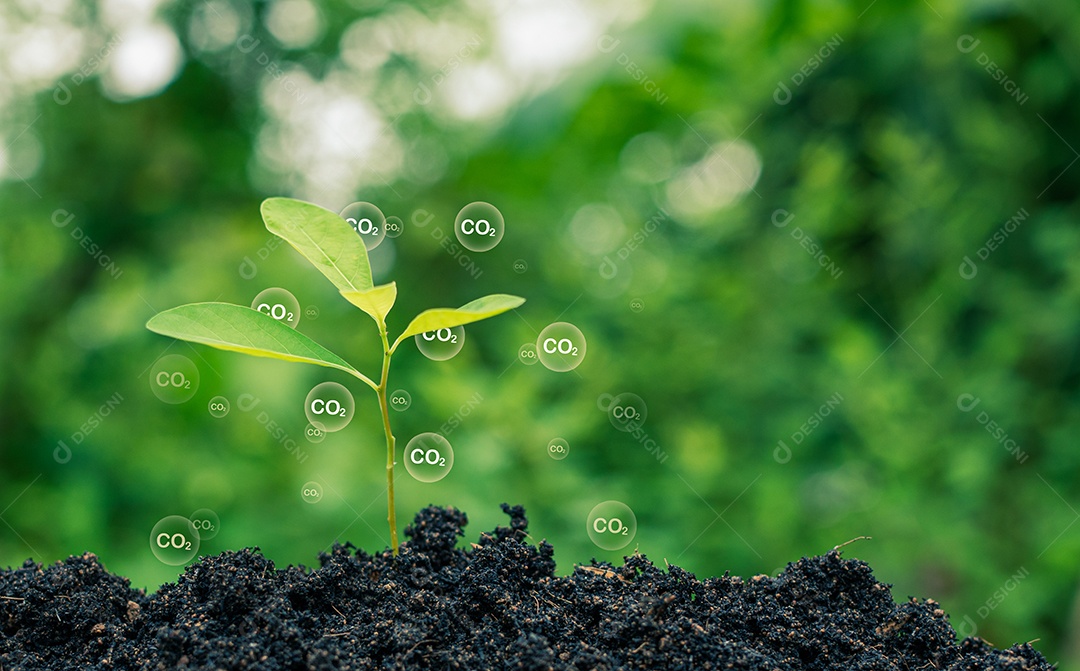 Conceito de redução de emissão de CO2, ambiente limpo e amigável sem emissões de dióxido de carbono.