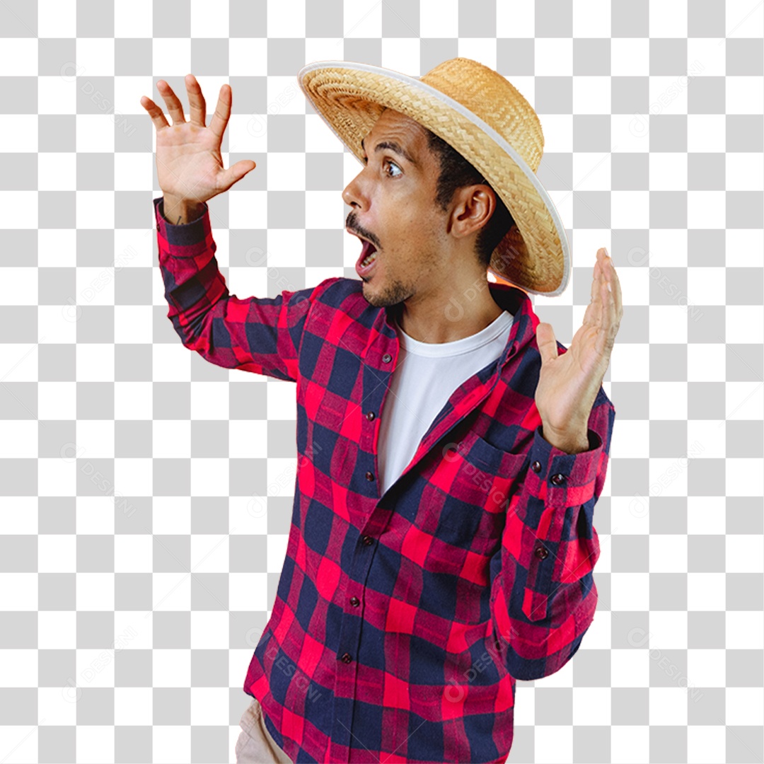 Homem de Camisa Quadriculada Para Festa Junina PNG Transparente