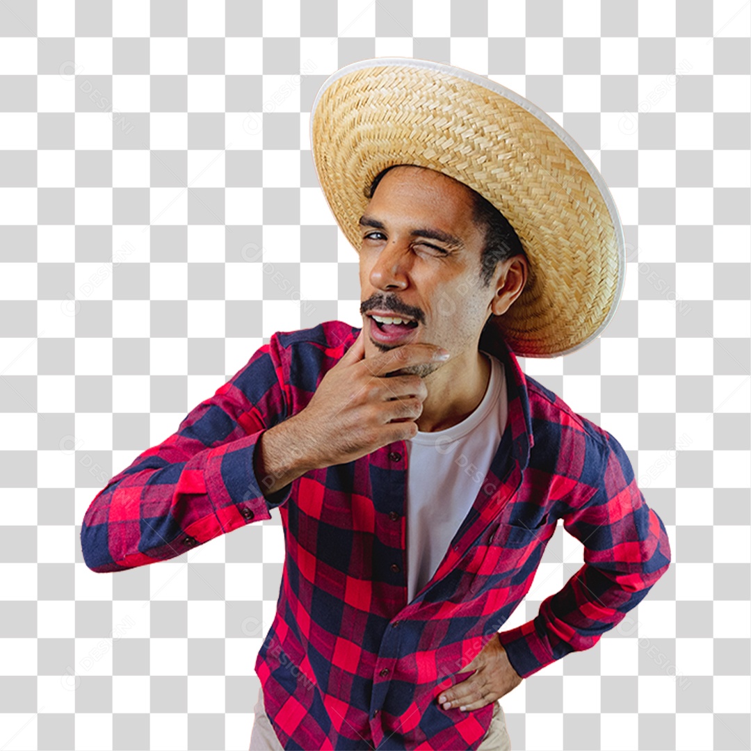 Homem de Camisa Quadriculada Para Festa Junina PNG Transparente